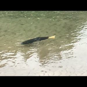 Meet your Posher, Keri